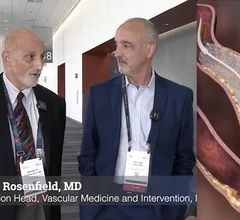 Video - Ken Rosenfield, MD, MGH, and William Gray, MD, Lankenau Heart, explain impact of new CMS coverage for carotid stenting.