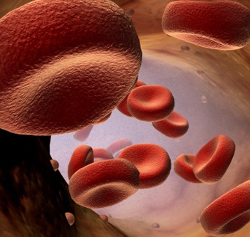 blood, clot, vein, platelet - 70.72 Kb