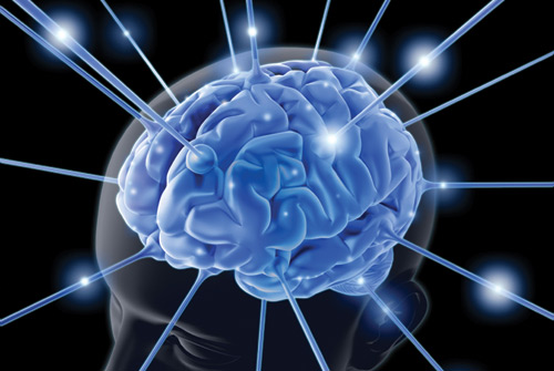 brain, stroke - 21.33 Kb