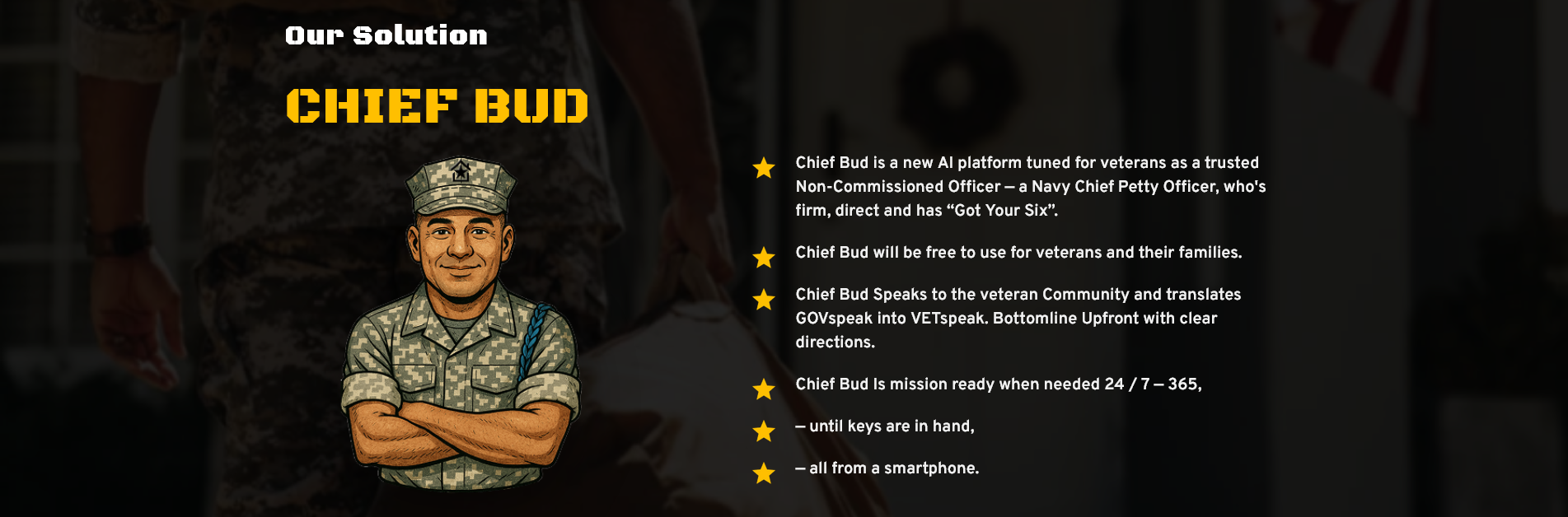 Screenshot Chief Bud VA Navigator Website