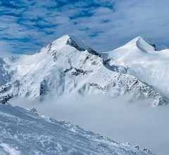 AI Avalanche