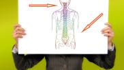 spine lumbar