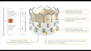 Meril Life Sciences, an India-based medical device company founded in 2006, developed the Myval TAVR valve. The Myval transcatheter heart valve (THV) is non-inferior to the Sapien 3 THV after one year, according to new transcatheter aortic valve replacement (TAVR) data published in The Lancet.