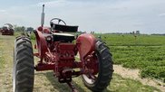 Rural America Farm DF 2025