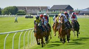 horse race