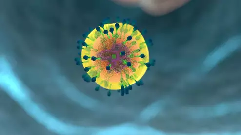 Covid Coronavirus