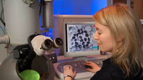 Pathology Microscope