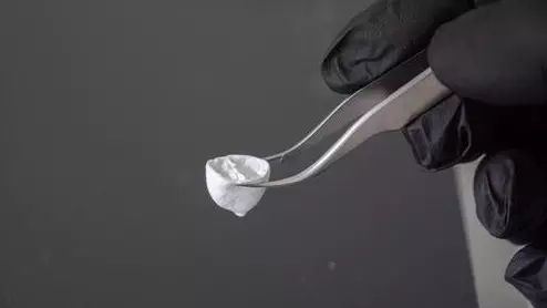 focused rotary jet spinning Harvard heart model ventricle biofabrication