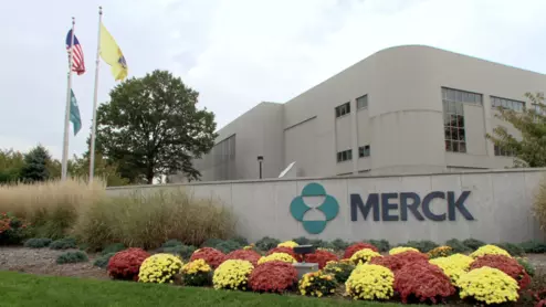 Merck Januvia Janumet Steglujan Nitroso-STG-19 (NTTP) type 2 diabetes