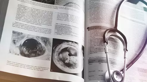 Medical student artificial intelligence training