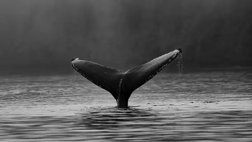 artificial intelligence industry watchers digest