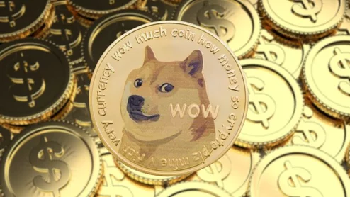 DOGE Coin Elon Musk Cryptocurrency