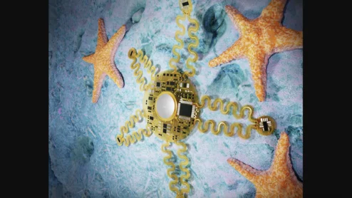 starfish heart monitor