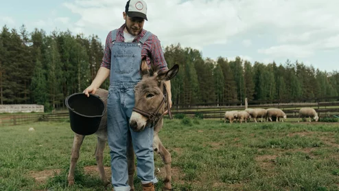 ai artificial intelligence in rural healthcare