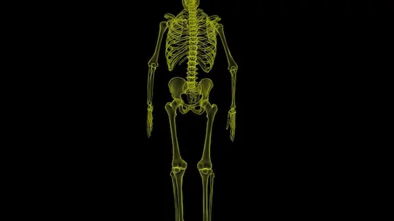 human-skeleton-1813086_1920.jpg