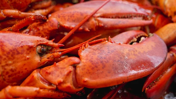lobster