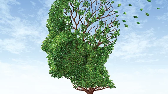 Tree Tree